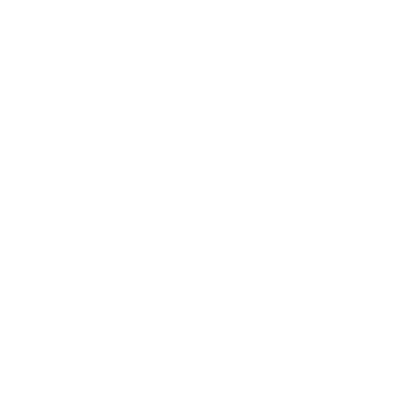 White circle frame.